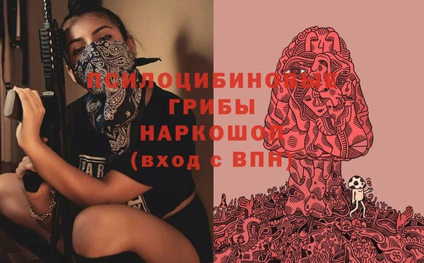 меф Гусь-Хрустальный